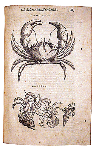 P.A. Mattioli. Una tavola di zoologia dei "Commentari a Dioscoride" in una edizione del 1583 stampata a Venezia