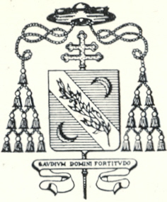 Gaudium Domini Fortitudo